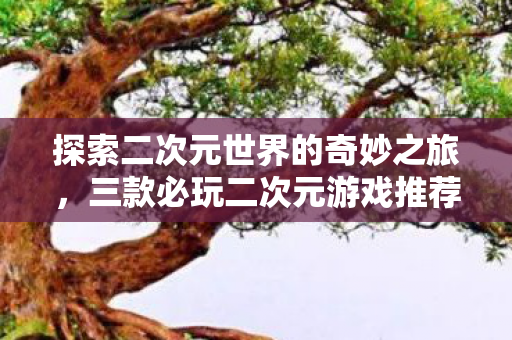 探索二次元世界的奇妙之旅,三款必玩二次元游戏推荐,三款必玩二次元游戏,带你探索奇妙之旅 探索二次元世界的奇妙之旅,三款必玩二次元游戏推荐,三款必玩二次元游戏,带你探索奇妙之旅