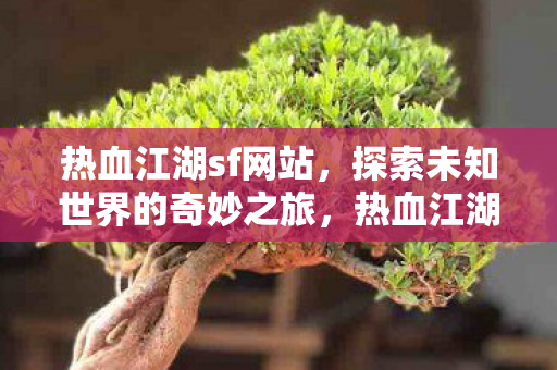 开启探索未知世界的奇妙之旅图片