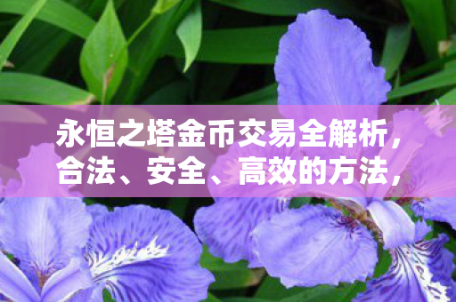 永恒之塔金币交易全解析,合法、安全、高效的方法,永恒之塔金币交易全解析,合法、安全、高效的方法 永恒之塔金币交易全解析,合法、安全、高效的方法,永恒之塔金币交易全解析,合法、安全、高效的方法