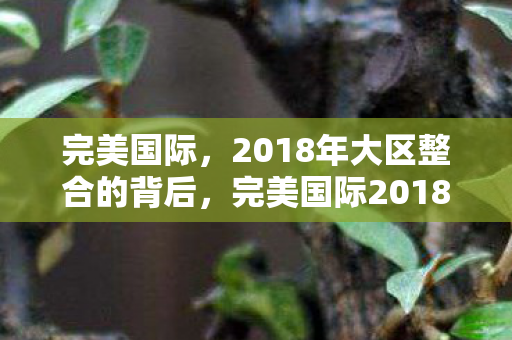 完美国际，2018年大区整合的背后，完美国际2018大区整合背后的战略考量