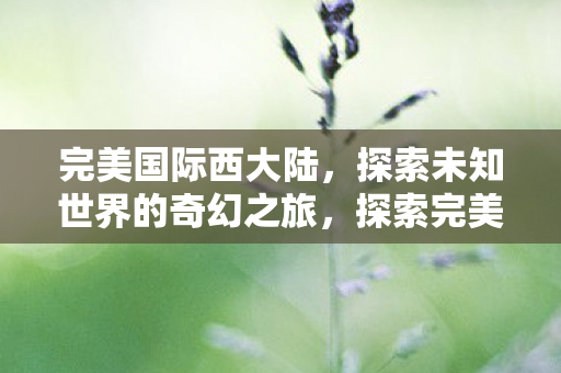 完美国际西大陆，探索未知世界的奇幻之旅，探索完美国际西大陆，奇幻之旅启程
