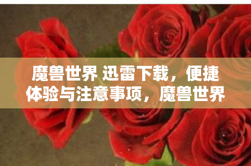 魔兽世界 迅雷下载,便捷体验与注意事项,魔兽世界迅雷下载,便捷体验与注意事项全解析 魔兽世界 迅雷下载,便捷体验与注意事项,魔兽世界迅雷下载,便捷体验与注意事项全解析