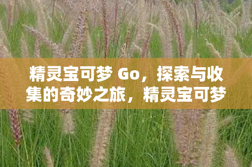 精灵宝可梦 Go，探索与收集的奇妙之旅，精灵宝可梦 Go，探索与收集的奇妙冒险之旅