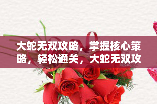 大蛇无双攻略，掌握核心策略，轻松通关，大蛇无双攻略，掌握核心策略，助你轻松通关