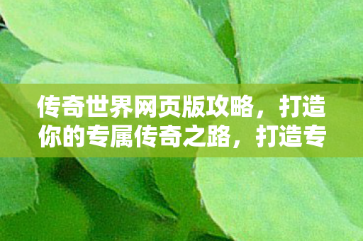 打造你的专属传奇之路图片