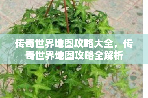 传奇世界地图攻略全解析图片