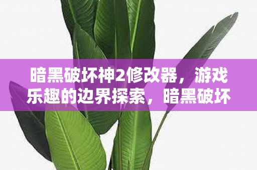 暗黑破坏神2修改器，游戏乐趣的边界探索，暗黑破坏神2修改器，探索游戏乐趣的边界