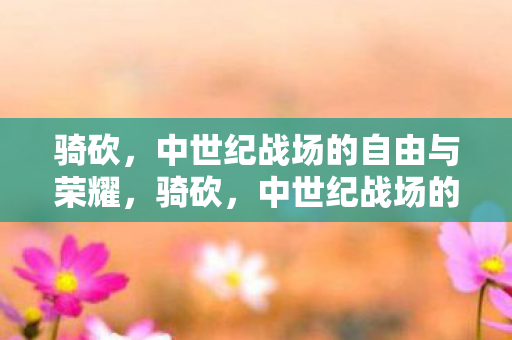 骑砍,中世纪战场的自由与荣耀,骑砍,中世纪战场的自由与荣耀 骑砍,中世纪战场的自由与荣耀,骑砍,中世纪战场的自由与荣耀