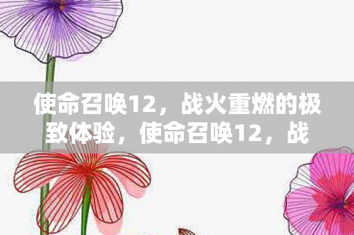 使命召唤12,战火重燃的极致体验,使命召唤12,战火重燃,极致游戏体验震撼来袭 使命召唤12,战火重燃的极致体验,使命召唤12,战火重燃,极致游戏体验震撼来袭