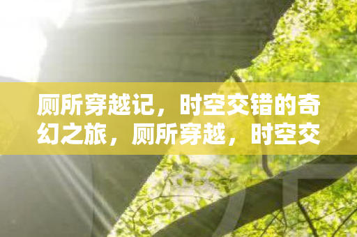 厕所穿越记，时空交错的奇幻之旅，厕所穿越，时空交错的奇幻之旅