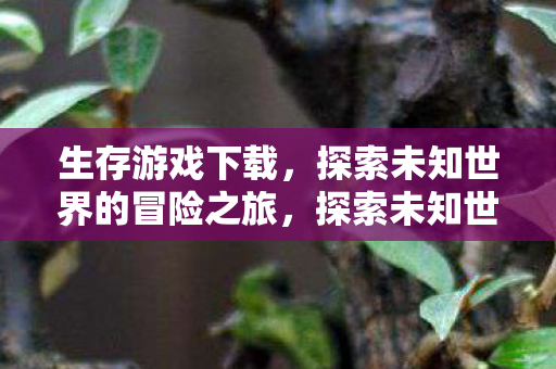 生存游戏下载，探索未知世界的冒险之旅，探索未知世界的冒险之旅，下载生存游戏