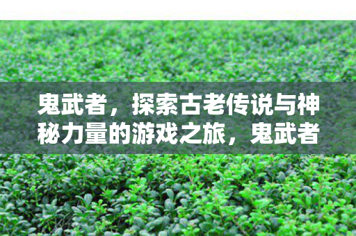 鬼武者，探索古老传说与神秘力量的游戏之旅，鬼武者，探索古老传说与神秘力量的游戏之旅