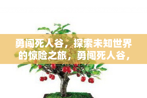 勇闯死人谷,探索未知世界的惊险之旅,勇闯死人谷,探索未知世界的惊险之旅 勇闯死人谷,探索未知世界的惊险之旅,勇闯死人谷,探索未知世界的惊险之旅