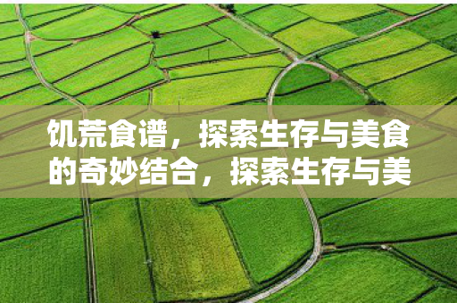 饥荒食谱,探索生存与美食的奇妙结合,探索生存与美食的奇妙结合,饥荒食谱揭秘 饥荒食谱,探索生存与美食的奇妙结合,探索生存与美食的奇妙结合,饥荒食谱揭秘