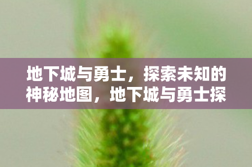 地下城与勇士探索神秘地图图片