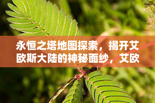 揭开艾欧斯大陆的神秘面纱图片