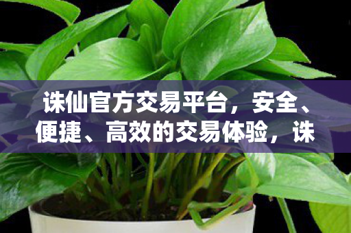 诛仙官方交易平台,安全、便捷、高效的交易体验,诛仙官方交易平台,打造安全、便捷、高效的交易体验 诛仙官方交易平台,安全、便捷、高效的交易体验,诛仙官方交易平台,打造安全、便捷、高效的交易体验