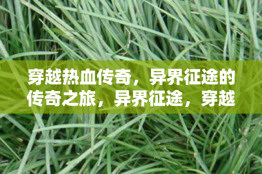 穿越热血传奇,异界征途的传奇之旅,异界征途,穿越热血传奇之旅 穿越热血传奇,异界征途的传奇之旅,异界征途,穿越热血传奇之旅