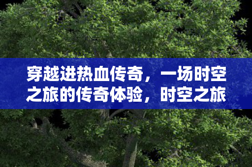 穿越进热血传奇，一场时空之旅的传奇体验，时空之旅，穿越进热血传奇的传奇体验