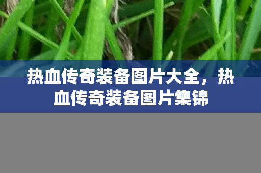 热血传奇装备图片大全图片