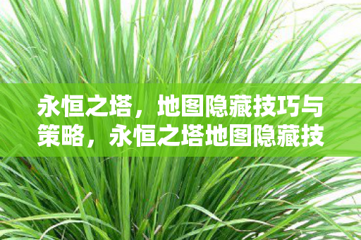 永恒之塔地图隐藏技巧与策略全解析图片