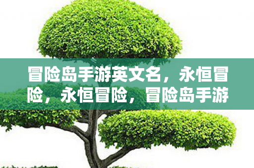 冒险岛手游英文名,永恒冒险,永恒冒险,冒险岛手游英文名 冒险岛手游英文名,永恒冒险,永恒冒险,冒险岛手游英文名