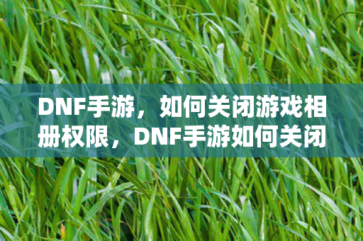 DNF手游如何关闭游戏相册权限图片