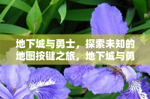 地下城与勇士探索未知地图的按键之旅图片