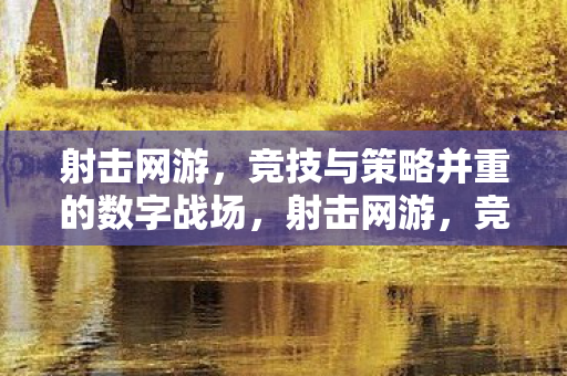 射击网游,竞技与策略并重的数字战场,射击网游,竞技与策略并重的数字战场 射击网游,竞技与策略并重的数字战场,射击网游,竞技与策略并重的数字战场