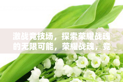 激战竞技场，探索荣耀战魂的无限可能，荣耀战魂，竞技场激战，探索无限可能