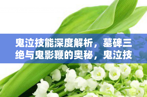 鬼泣技能深度解析，墓碑三绝与鬼影鞭的奥秘，鬼泣技能深度解析，揭秘墓碑三绝与鬼影鞭的奥秘