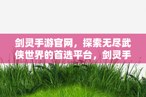 探索无尽武侠世界的首选平台图片