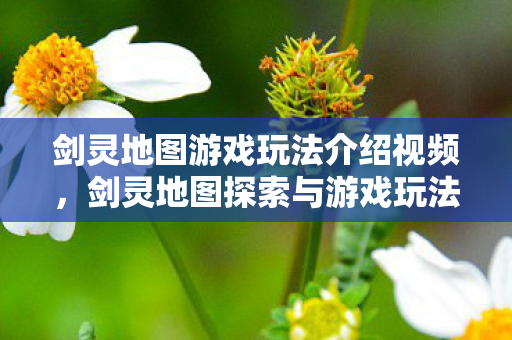 剑灵地图探索与游戏玩法全解析图片