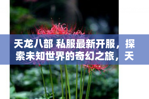 天龙八部 私服最新开服,探索未知世界的奇幻之旅,天龙八部私服最新开服,开启探索未知世界的奇幻之旅 天龙八部 私服最新开服,探索未知世界的奇幻之旅,天龙八部私服最新开服,开启探索未知世界的奇幻之旅