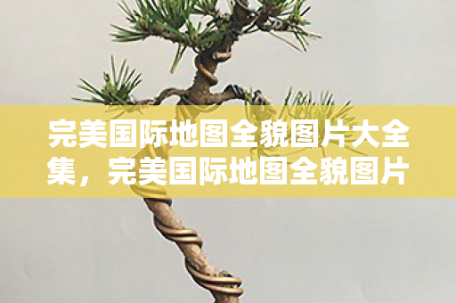 完美国际地图全貌图片大全集,完美国际地图全貌图片集锦 完美国际地图全貌图片大全集,完美国际地图全貌图片集锦