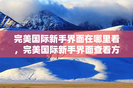 完美国际新手界面在哪里看图片