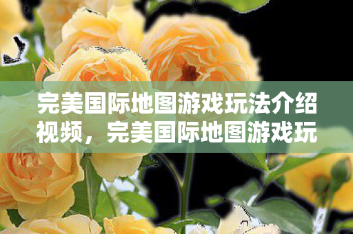 完美国际地图游戏玩法介绍视频图片