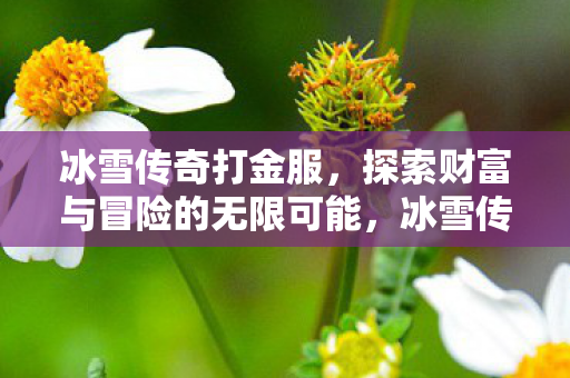 冰雪传奇打金服，探索财富与冒险的无限可能，冰雪传奇打金服，财富与冒险的无限探索之旅