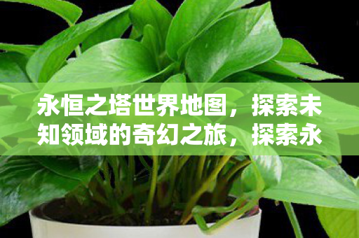 探索未知领域的奇幻之旅图片
