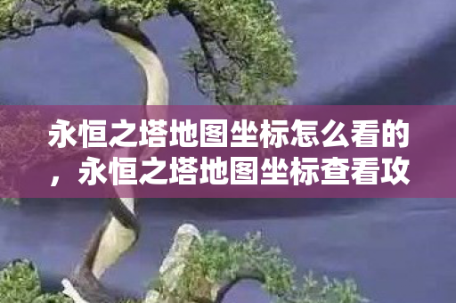 永恒之塔地图坐标怎么看的,永恒之塔地图坐标查看攻略 永恒之塔地图坐标怎么看的,永恒之塔地图坐标查看攻略