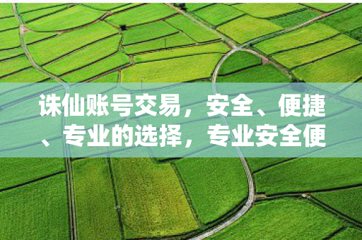 诛仙账号交易首选图片