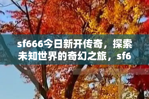 sf666今日新开传奇,探索未知世界的奇幻之旅,sf666今日新开传奇,探索未知世界的奇幻之旅 sf666今日新开传奇,探索未知世界的奇幻之旅,sf666今日新开传奇,探索未知世界的奇幻之旅