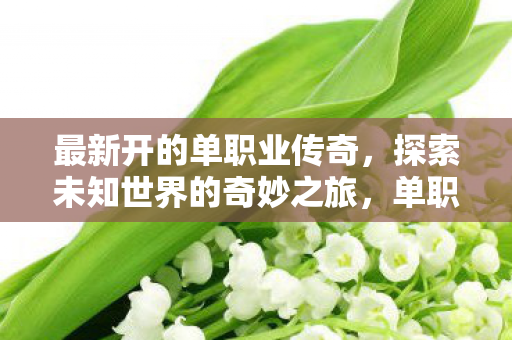 最新开的单职业传奇，探索未知世界的奇妙之旅，单职业传奇，探索未知世界的奇妙之旅