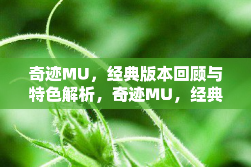 奇迹MU,经典版本回顾与特色解析,奇迹MU,经典版本回顾与特色解析 奇迹MU,经典版本回顾与特色解析,奇迹MU,经典版本回顾与特色解析