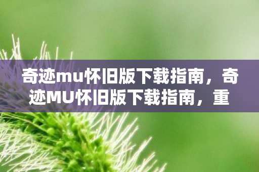 奇迹mu怀旧版下载指南,奇迹MU怀旧版下载指南,重温经典,重温感动 奇迹mu怀旧版下载指南,奇迹MU怀旧版下载指南,重温经典,重温感动