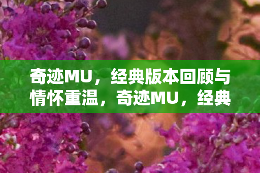 奇迹MU，经典版本回顾与情怀重温，奇迹MU，经典再现，重温情怀之旅