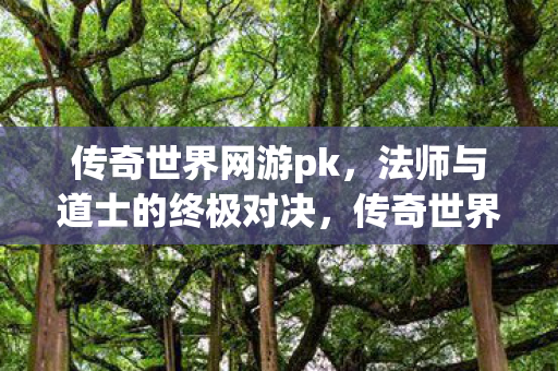 法师与道士的终极对决图片