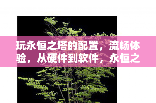 玩永恒之塔的配置，流畅体验，从硬件到软件，永恒之塔流畅体验，从硬件到软件的配置指南