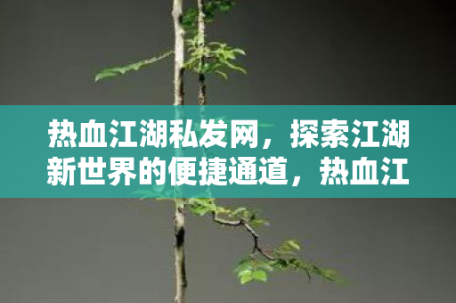 探索江湖新世界的便捷通道图片