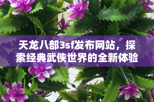 天龙八部3sf发布网站,探索经典武侠世界的全新体验,天龙八部3sf发布网站,探索经典武侠世界的全新体验 天龙八部3sf发布网站,探索经典武侠世界的全新体验,天龙八部3sf发布网站,探索经典武侠世界的全新体验